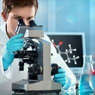 گزارش کار آزمایشگاه با عنوان مطالعه آناتومی گیاهان  (C3 C4 CAM) (بررسی میکروسکوپی برگ خرزهره ، ذرت و